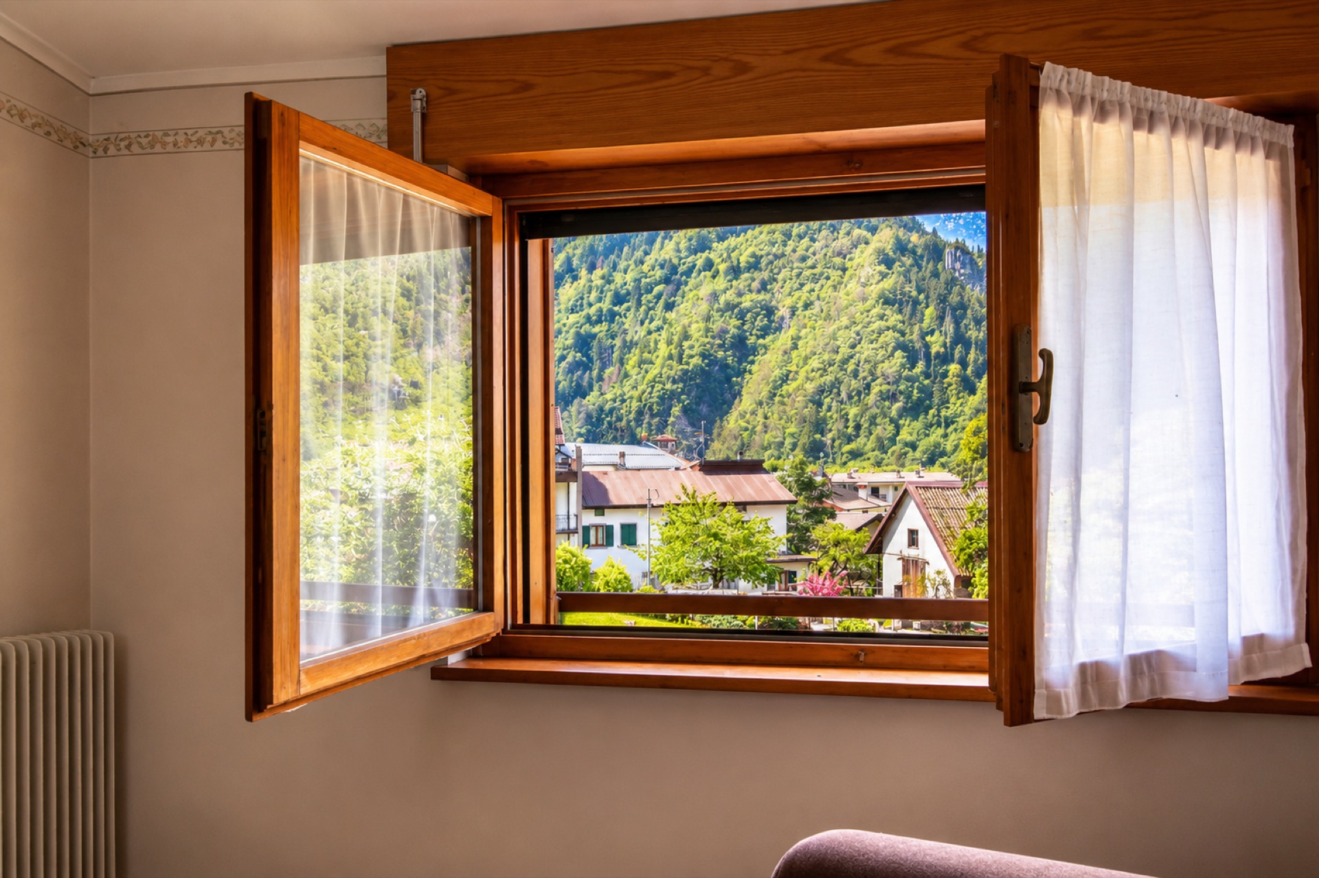 Vista dalla camera